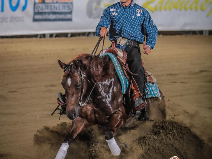 Dance Wimpy Spook IRHA L4 Open Futurity Champion