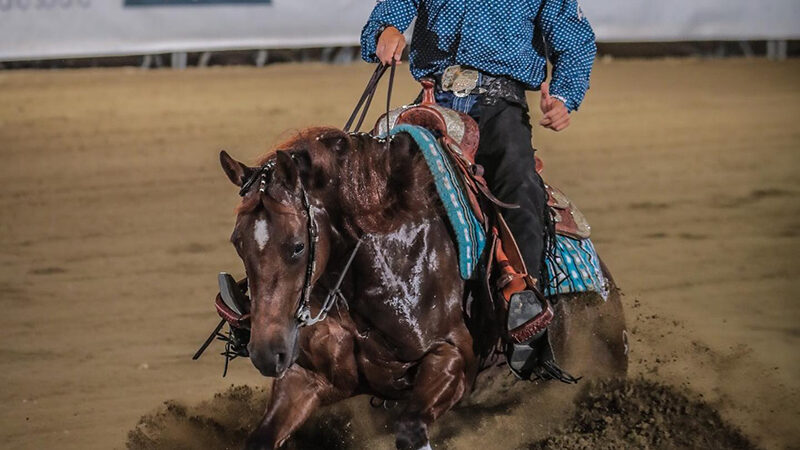 Dance Wimpy Spook IRHA L4 Open Futurity Champion