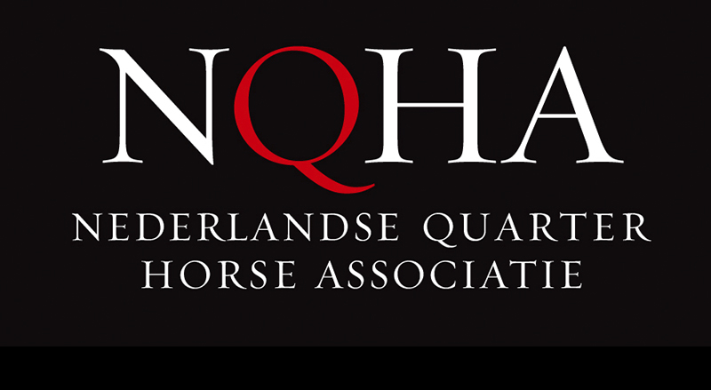 Dutch Championship Quarter Horses