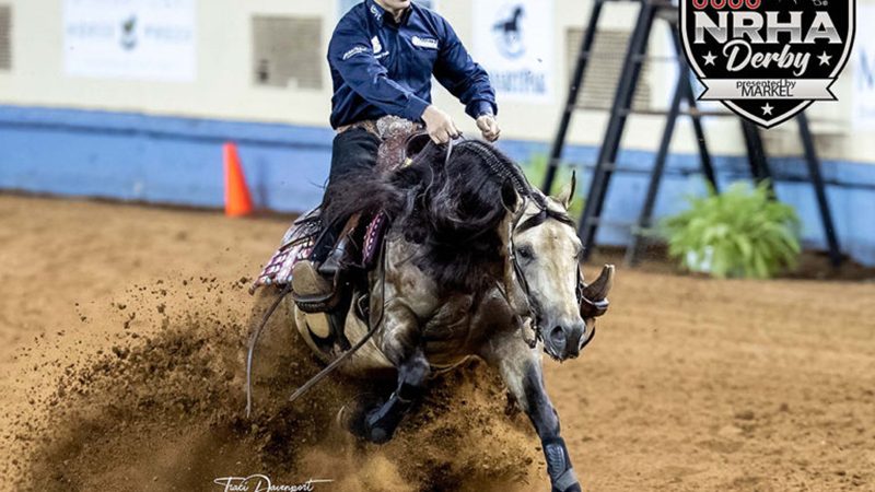 Jerseys Baby Driver wins L4 Open Derby