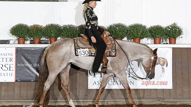 NQHA/AQHA Dutch Championship