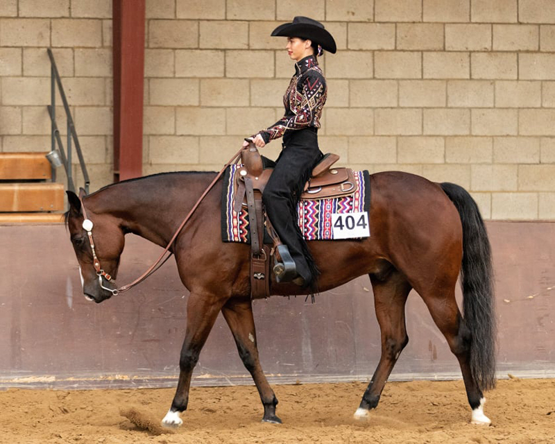 NQHA/AQHA Dutch Championship 2021 afgerond