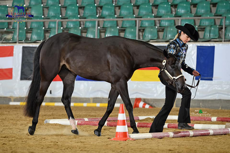 EK Quarter Horses 2021 in de boeken