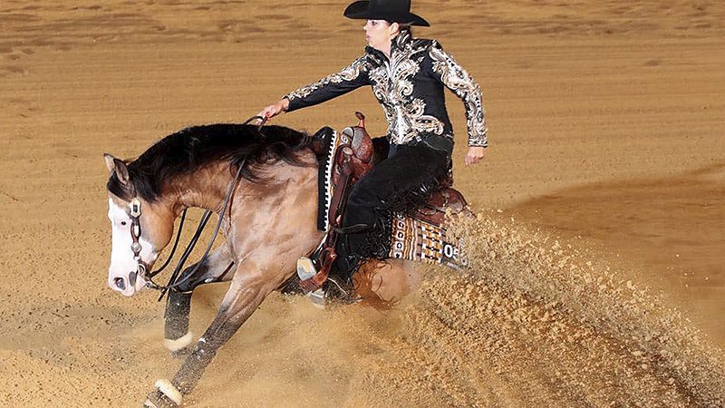 Sicuro claims NRHA Open title, Baeck reserve