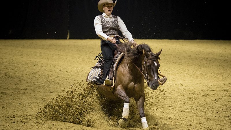 Franziska Wegner grote winnaar NP Futurity 3&4-jarigen