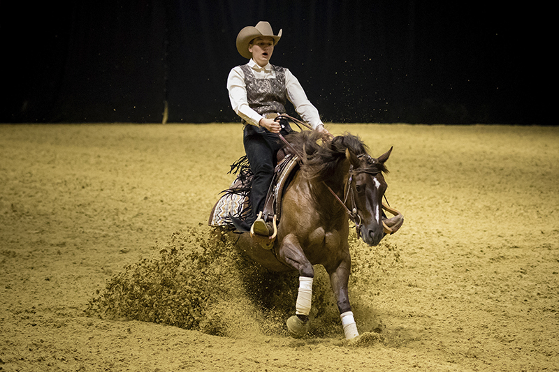 Franziska Wegner grote winnaar NP Futurity 3&4-jarigen