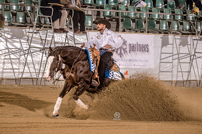 GD Peptos Olena Blue and Midili L4 Open Futurity Champions 4-years-old