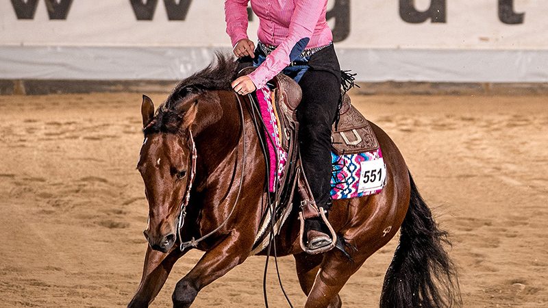NP finalists NRHA Breeders Futurity 4- years-old determined
