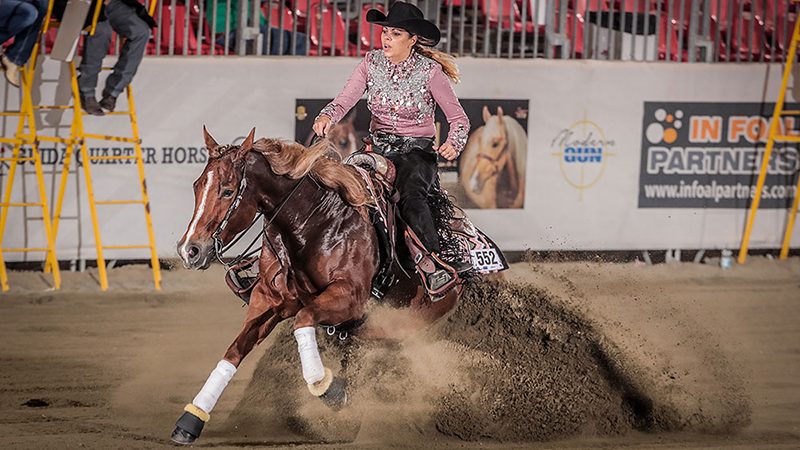 Finalisten Open Euro Futurity staan vast