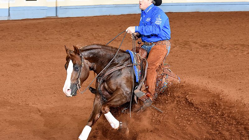 Ten Thirty and Deary NRHA L4 Open Futurity Champions