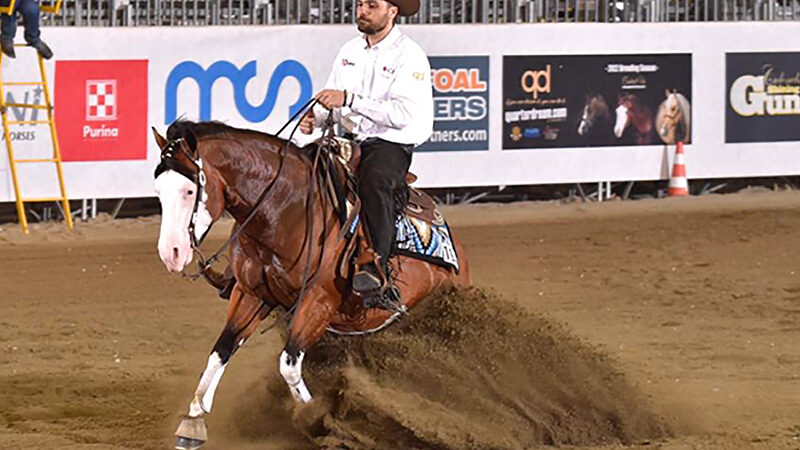 IRHA/IRHBA Derby dinsdag van start