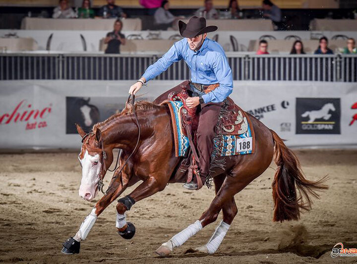 Non Pro Euro Futurity finales beneden peil
