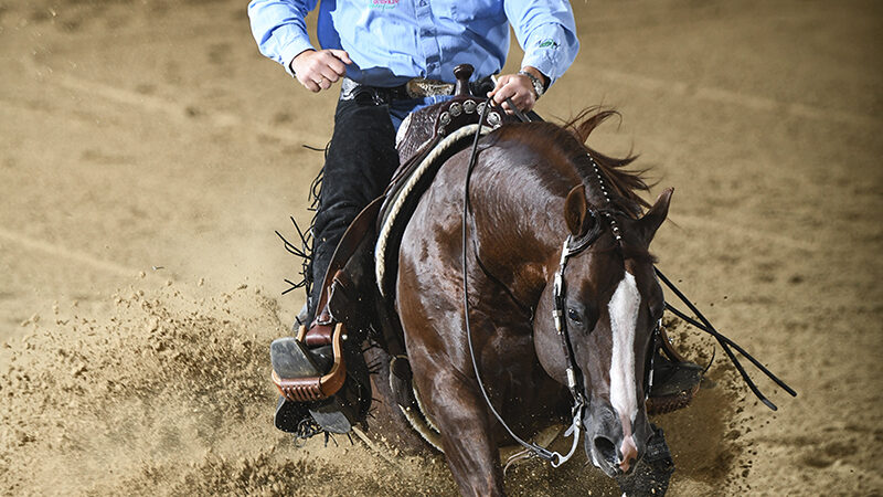 Mello Yello Jersey and Bernard Fonck L4 Open Champion