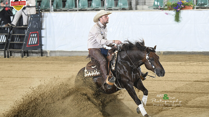 Open finalisten NRHA-G Breeders Derby