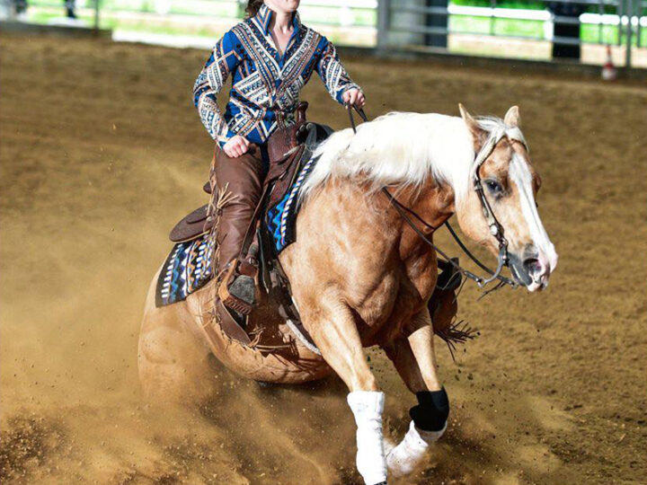 World Reining Championship Amateur Senior Riders competition