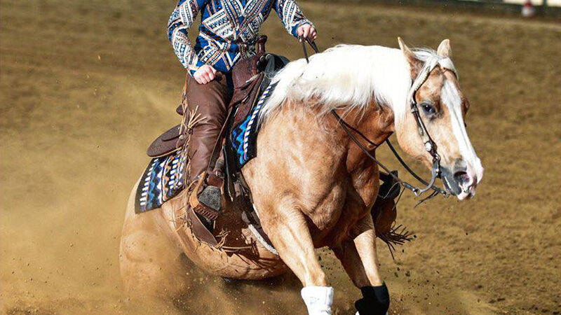 World Reining Championship Amateur Senior Riders competition