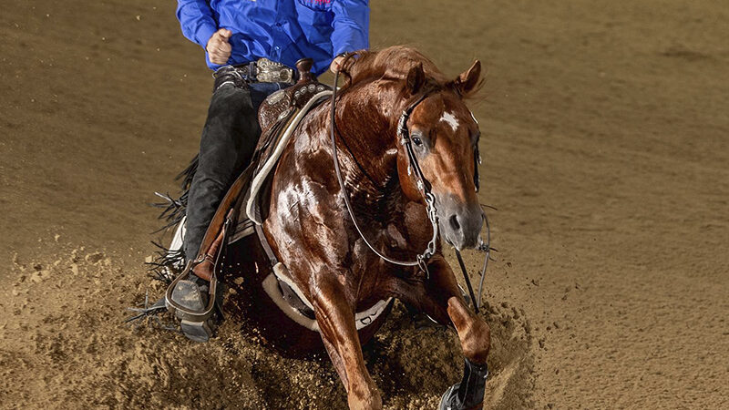 Carlo Ambrosini wereldkampioen Amateur Senior Riders