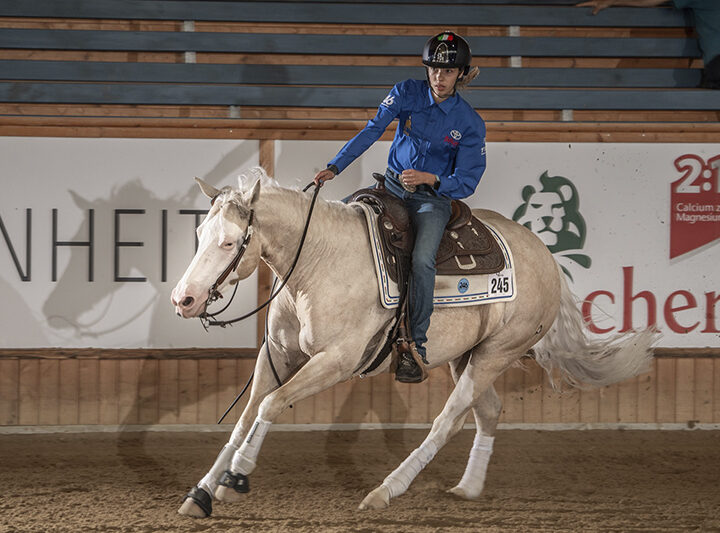 Gold WRC Para Reining for Italy, silver and bronze for Great Britain