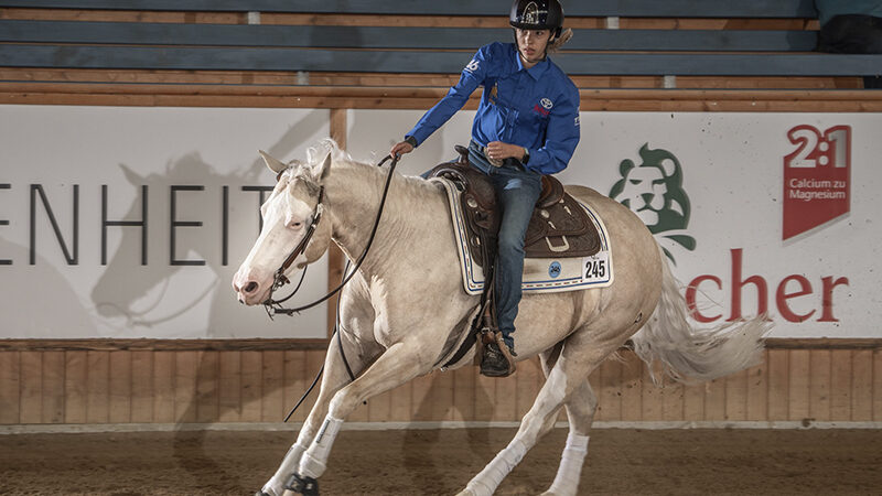 Gold WRC Para Reining for Italy, silver and bronze for Great Britain