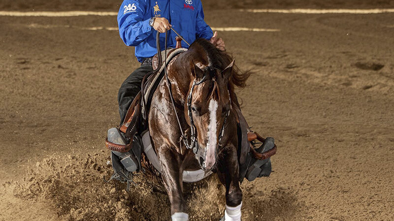 Nico Sicuro World Champion Open Senior Riders