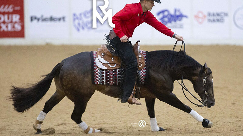 Vanlandingham NRHA $ 3 Million Rider