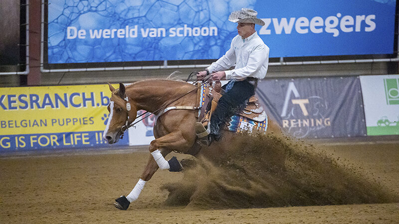 Shinersvoodoojunior Open Futurity Champion 3&4 jarigen