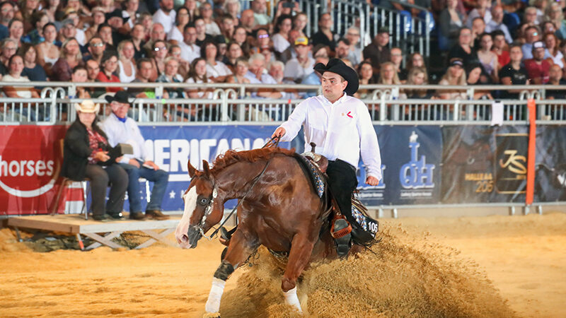 Czechowicz en CSG Piggiemove pakken NRHA Open titel