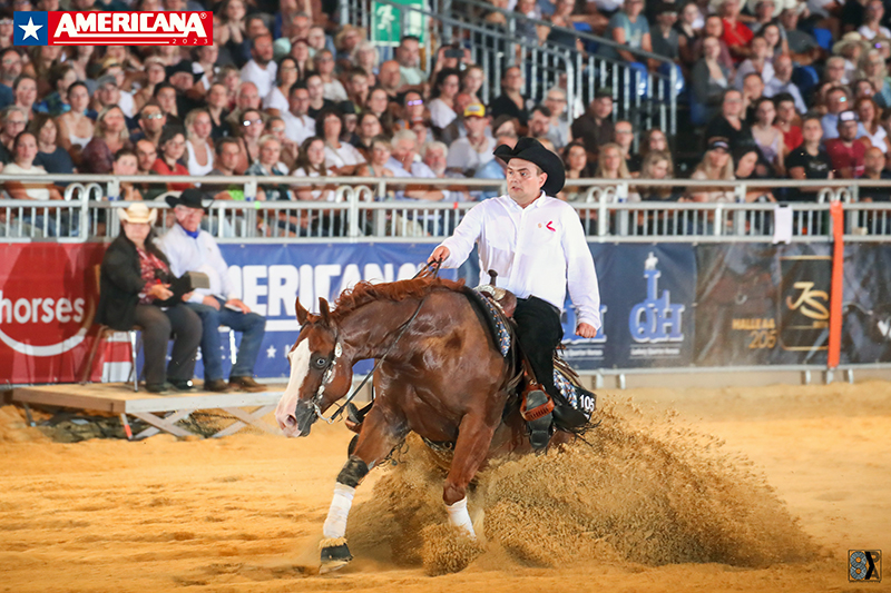 Czechowicz and CSG Piggiemove claim NRHA Open title