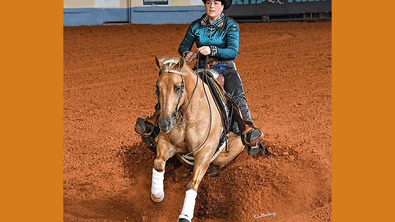 Anne kleurt NRHA Open Futurity aardig Oranje