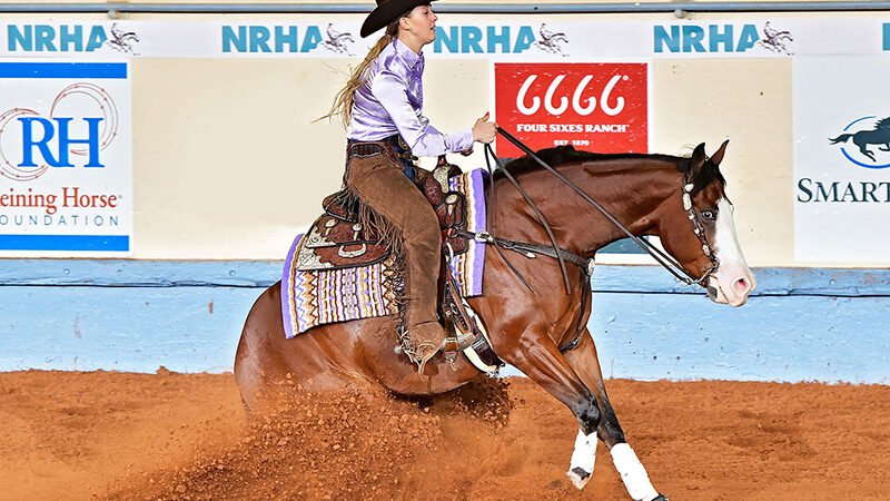 Gina Maria Schumacher qualifies 3 horses for L4 Futurity finals