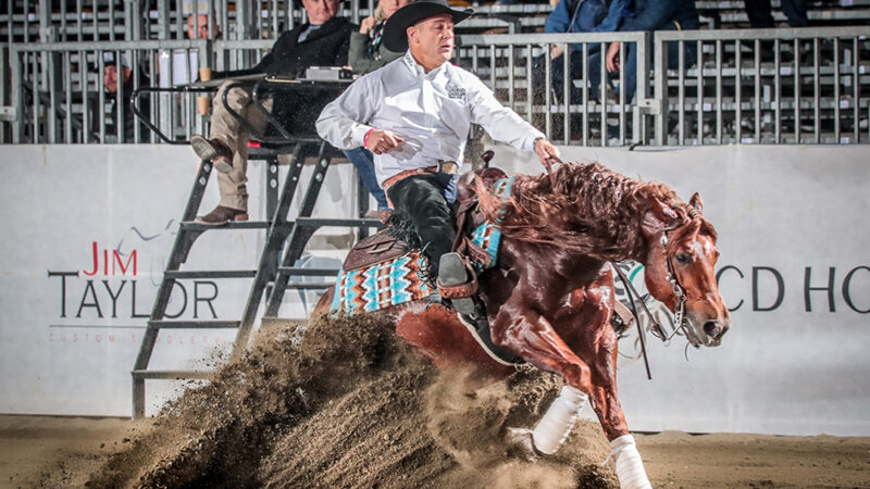 AC Einsteins In Like and Ruggeri IRHA L2 and L3 Open Futurity Champion