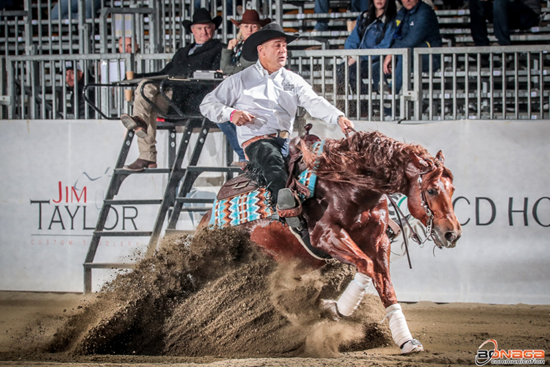 AC Einsteins In Like and Ruggeri IRHA L2 and L3 Open Futurity Champion