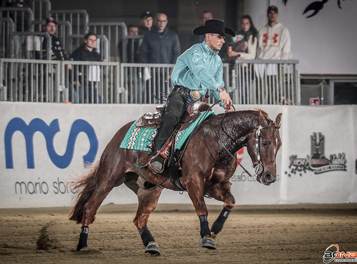 Gunner Be Step and Sicuro IRHA L4 Open Futurity Champion 3-years-old