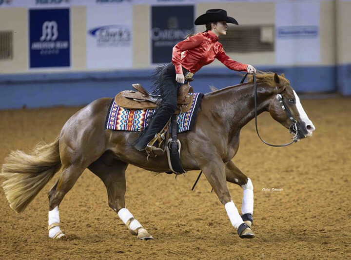 Unprecedented results NRHA Non Pro Futurity finals