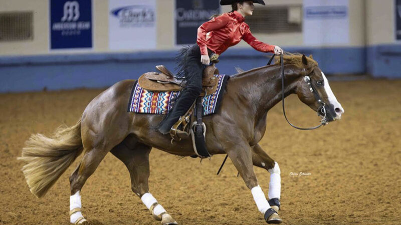 Unprecedented results NRHA Non Pro Futurity finals