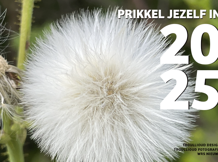 Gelukkig Nieuwjaar