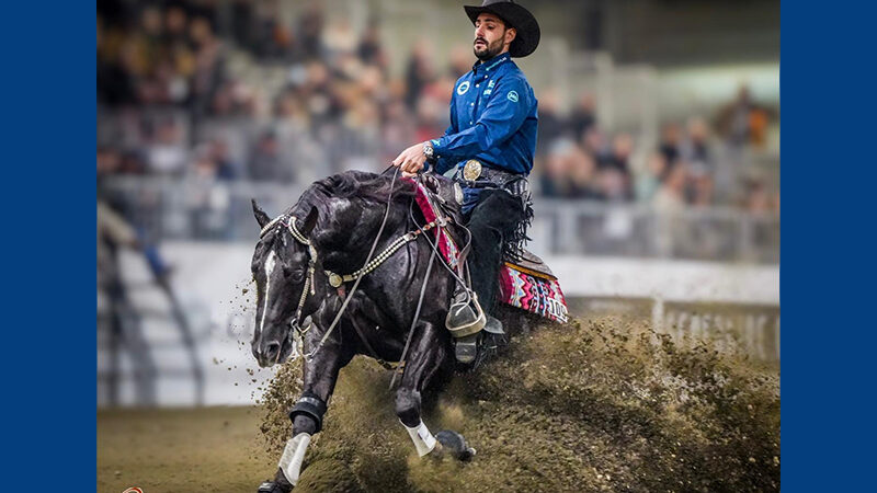 NRHA Million Dollar Sires